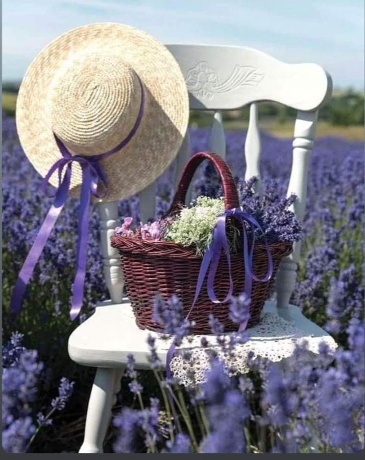 Willa Grange Voutee Avec Jardin Mane  Zewnętrze zdjęcie